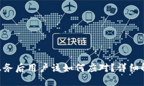 Tokenim停止服务后用户该如何应对？详细解决方案与建议