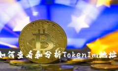 如何查看和分析TokenIm地址