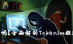Tokenim支持提现吗？全面解