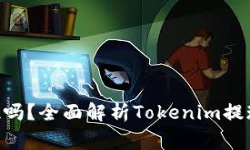 Tokenim支持提现吗？全面解析Tokenim提现流程与注意事项