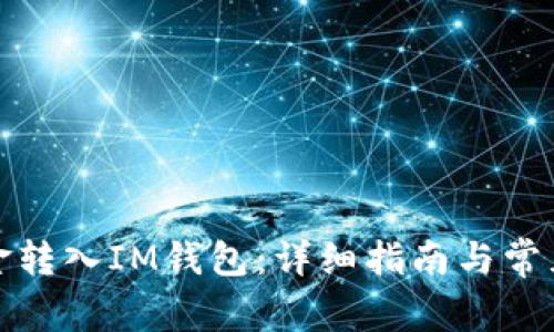 如何将资金转入IM钱包：详细指南与常见问题解答