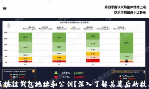 什么是区块链钱包地址和公钥?深入了解其背后的技术与应用