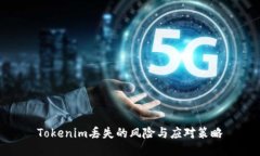 Tokenim丢失的风险与应对策