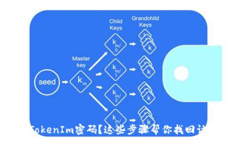 忘记TokenIm密码？这些步骤帮你找回访问权限！