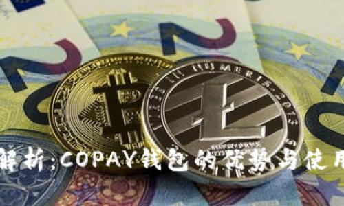 全面解析：COPAY钱包的优势与使用指南