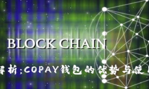 全面解析：COPAY钱包的优势与使用指南