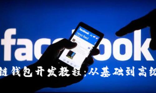 全面解析区块链钱包开发教程：从基础到高级的全方位指导