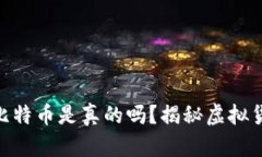 Tokenim里的比特币是真的吗？揭秘虚拟货币交易的